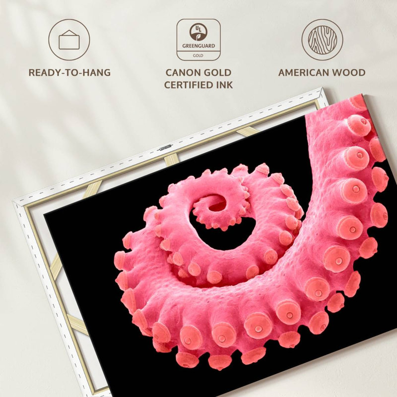 Brampt Pink Octopus Tentacle, 8" H x 12" W
