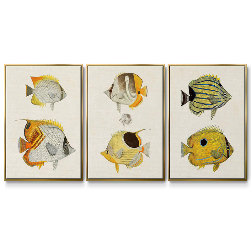 «Yellow and Gray Fish I», ensemble de 3 reproductions encadrées sur toile, H 40 po x l 78 po, Or