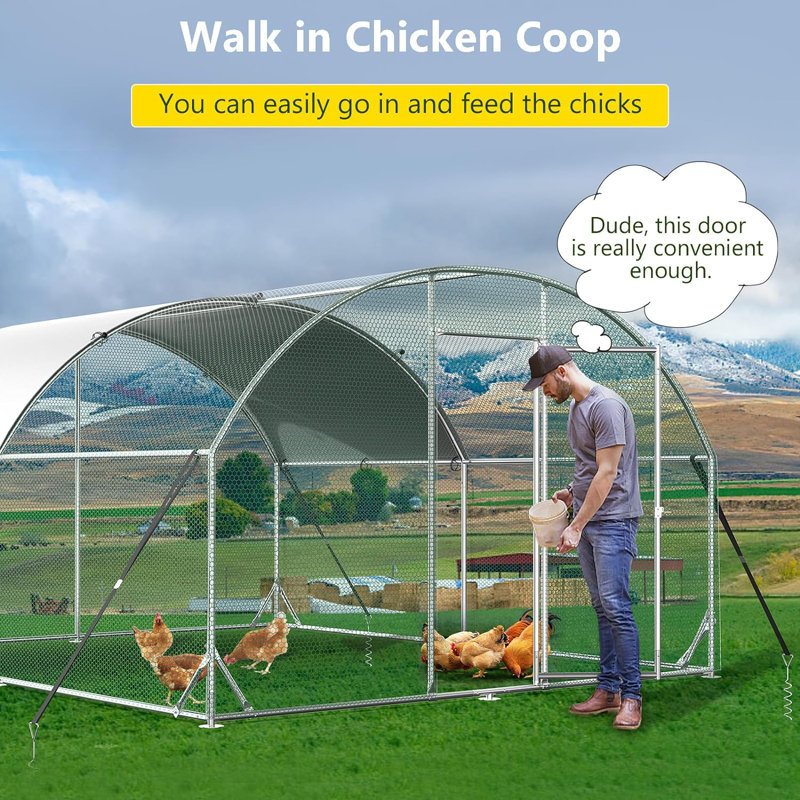 Poule Erisa, H 76,80 po x l 120 po x P 156 po