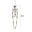Lampkins Halloween Decorative Accent