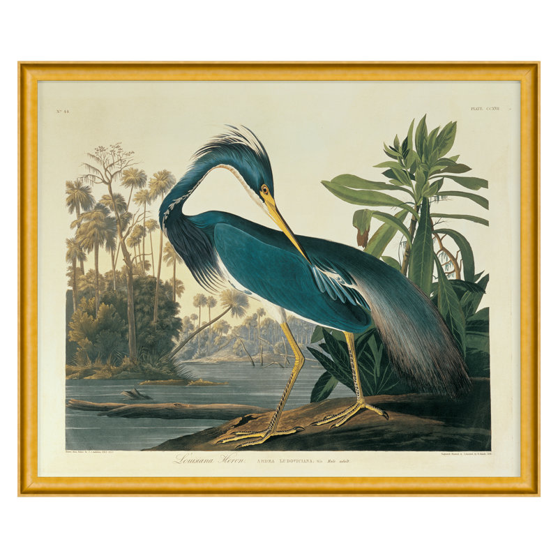 "Louisiana Heron Plate 217" par Porter Design, H 15 po x l 18 po