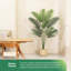 Rudina 170cm Faux Plant