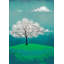 Tree Of Clouds by Stef Lamanche - Wrapped Canvas Print-664910866