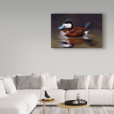 «Ruddy Duck» de Berrien, impression sur toile tendue