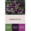 Fruit, mangoustan brun, art mural sur toile-1962462469