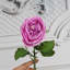 40 véritables fleurs 20,5 po-1096546606