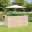 Raised Garden Bed-488408614-488408611