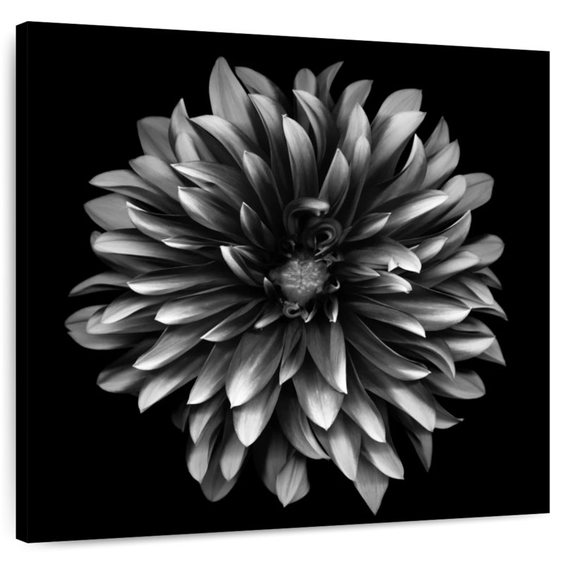 Harnek Black And White Flower