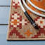 Tapis intérieur / extérieur Northpoint Veranda Southwestern-931498385
