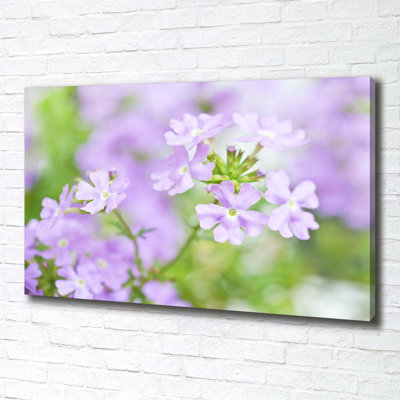 Verbena - Wrapped Canvas Print