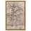 «Giant Oak at Forest», art vintage par Art Remedy