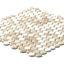 Eterna Penny 12"x12" Recycled Glass Mosaic Tile-108486598
