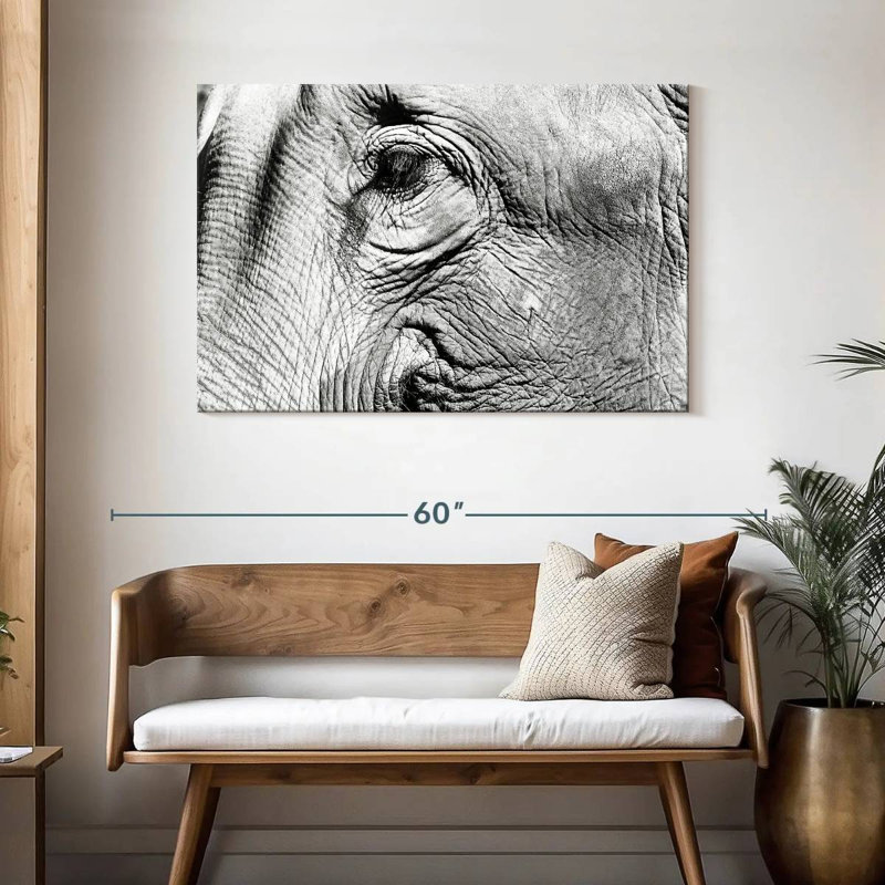 Gros plan sur l'éléphant Brampt, H 30 po x l 45 po
