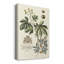 Imperial Foliage I - Wrapped Canvas Print-1951056722