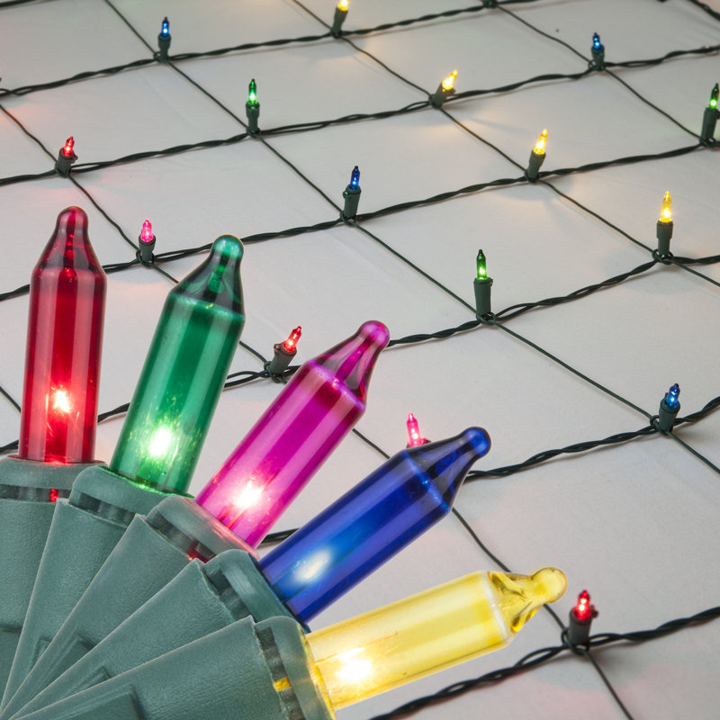 Net Lights, Multi