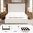 Carmen Upholstered Wingback Bed-1109086680-1122909131