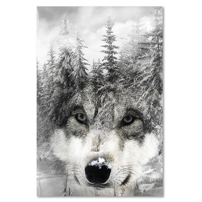 Leinwandbild Wolf in Winter Scenery