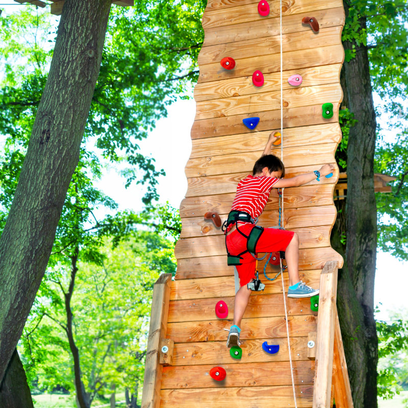 VEVOR PP Copolymer Climbing Rocks