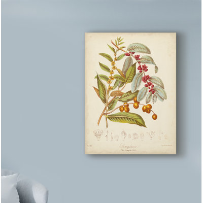 Mid-Century