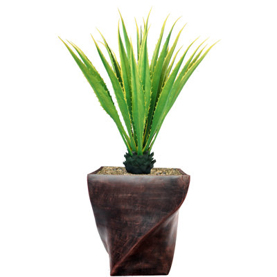 Agave Panama Real Touch