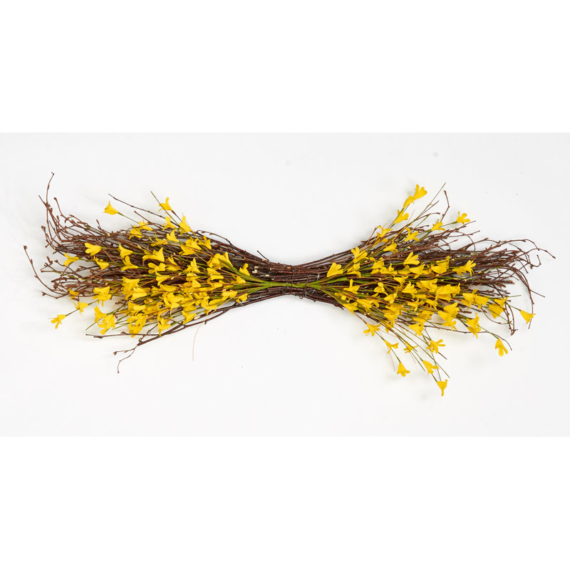Brindille 34 po Forsythia