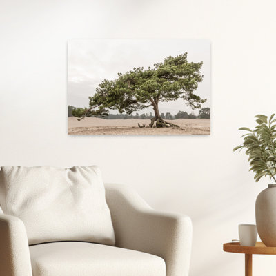 «Windswept Desert Pine Minimalist Peaceful Serene Pine Landscape Landscape», reproduction d'art murale