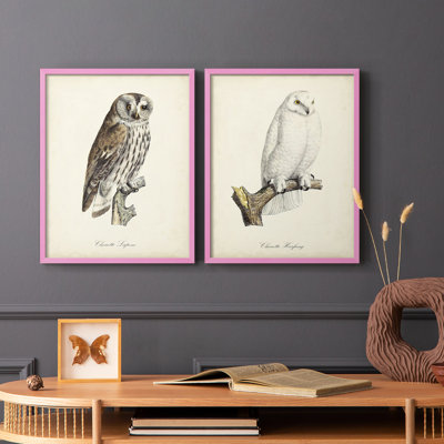 French Owls III - reproduction encadrée de qualité supérieure - prête à être accrochée - aucun clou requis - aucun clou requis