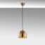 Luminaire suspendu 1 lumière Potosi-846317061