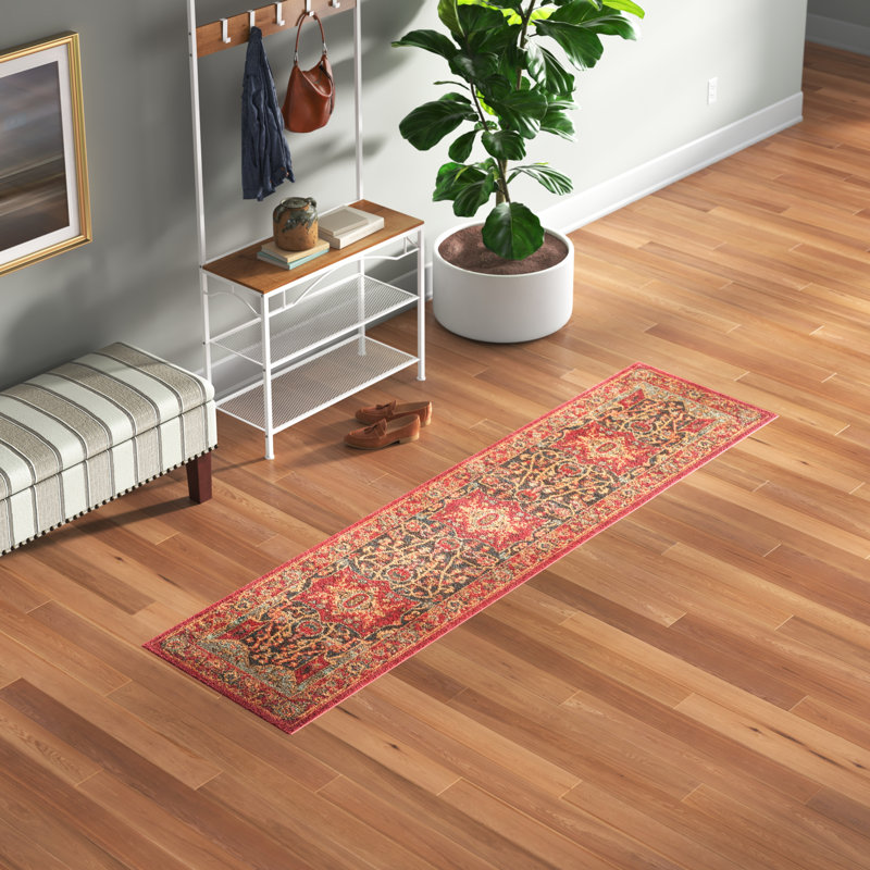 Beauchesne Oriental Hand Woven Area Rug, Runner 66 x 244 cm