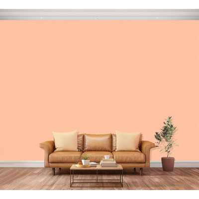 Papier peint adhésif autocollant de couleur pêche unie à motif de contact minimal amovible et amovible pour salle de bain H 100 po x l 144 po