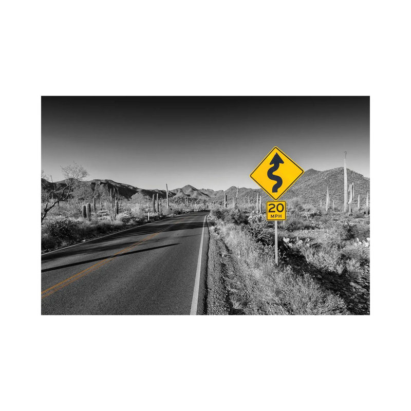 Saguaro National Park Bajada Loop Drive by Melanie Viola - Wrapped Canvas Print, 20.32 cm H x 30.48 cm W