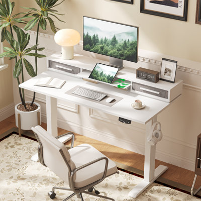 48" Electric Standing Desk With Drawers, Height Adjustable Desk With Retractable Storage Shelf, Stand Up Home Office Computer Table