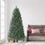 Artificial Pine Christmas Tree with Color & Clear Lights-501355855-516393252