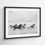 Horse Run I by PHBurchett-558661568-558661566