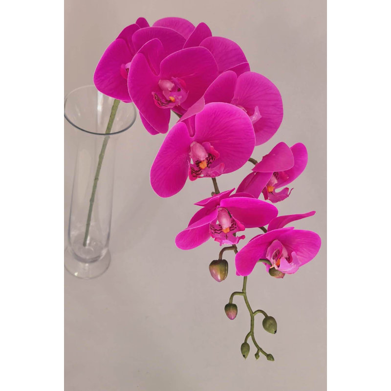 PHALAENOPSIS*9 FLEURS, Mauve, 30" H x 5" W