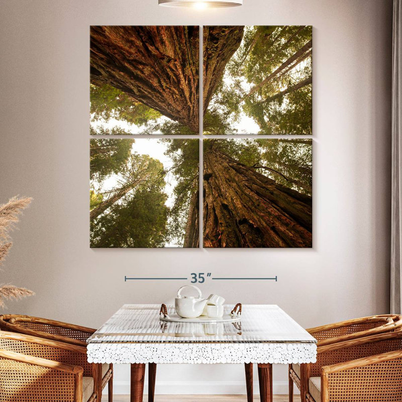 Alvord Towering Sequoia Trees