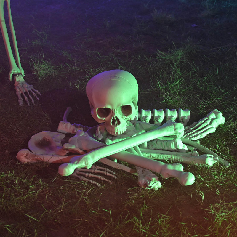 Ensemble de 28 pièces sac de décoration squelette os tête de mort Halloween