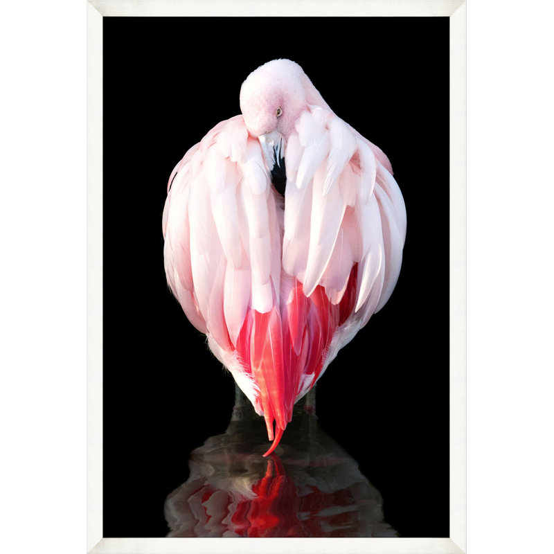 Flamingo Delicacy 1 Wall Art & Signage