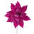 Rose vif