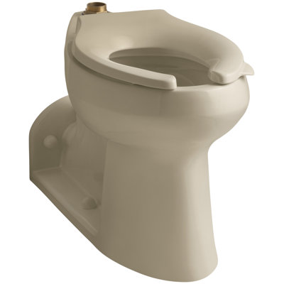 Anglesey 1.6 GPF Elongated Flushometer Toilet (Seat Not Included)