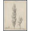 The Edge Of A Pond 1 Print by Art House Studios-377272579