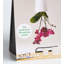 Grand pot à fleurs recyclé suspendu-1498896678-1498896672