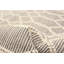 Hasnaa Performance Hand Braided Wool Rug