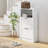 Modern Shoe Storage Cabinet