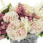 Hydrangea, Viburnum and Pampas Arranged in Ceramic Pot