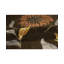 Himalayan Hand Woven Wool Floral Area Rug