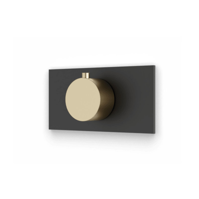 Ensemble de garniture de thermostat carré et rond avec plaque aux lettres laiton satiné / noir mat
