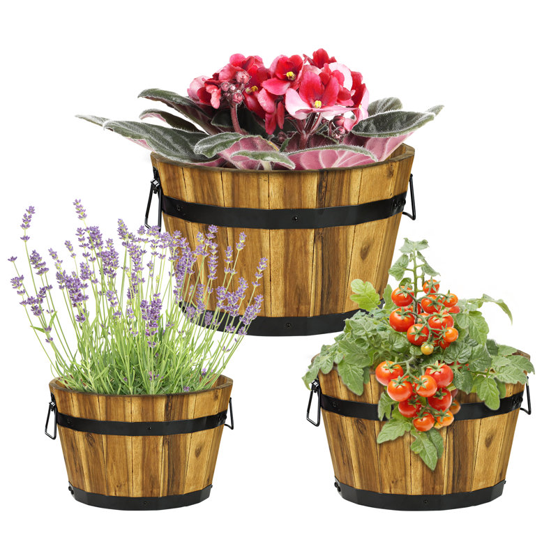 Bois massif - Boîte à fleurs en bois - Ensemble de 3, Teck doré