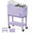 Violet est en rupture de stock