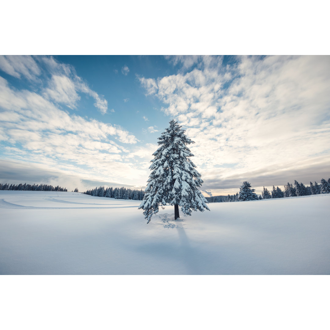 Schneebedeckter Winterbaum von Borchee - Druck